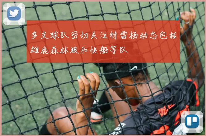 多支球队密切关注特雷杨动态包括雄鹿森林狼和快船等队